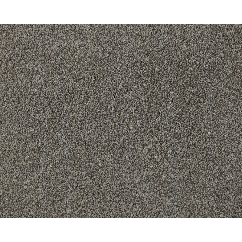 Norfolk & Co. Carpets Adorable In Greyhound Carpet