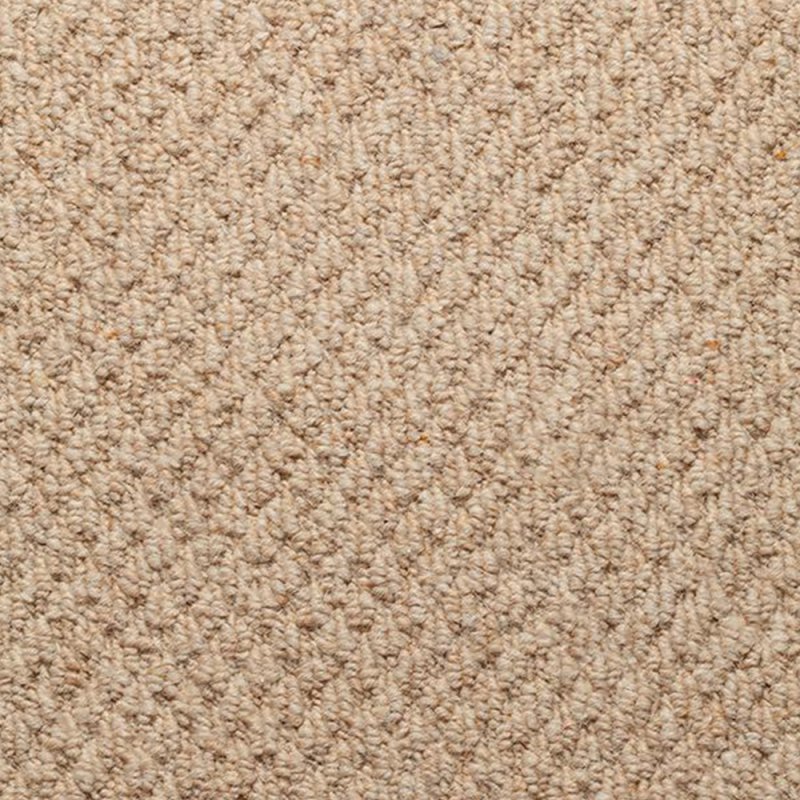 Norfolk & Co. Carpets Aldiss Tradition In Panama Light Beige Carpet