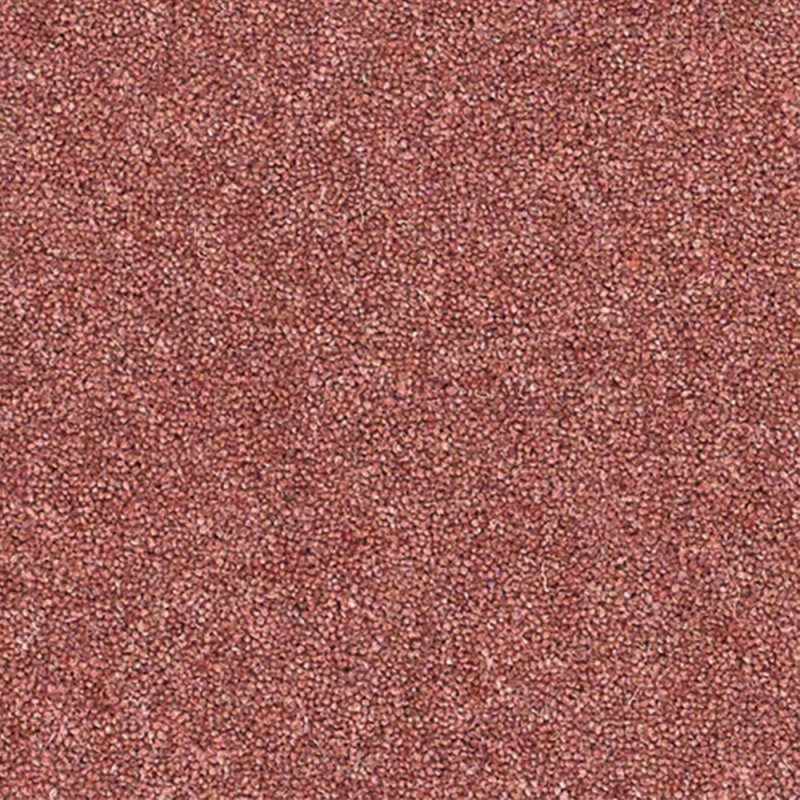 Norfolk Altitude Heathers In Wild Raspberry Carpet