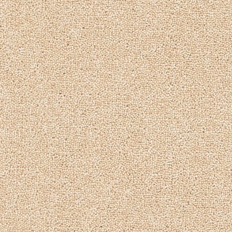 Norfolk & Co. Carpets Altitude Plains In Barley Carpet