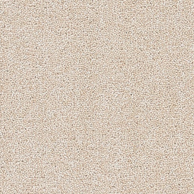 Norfolk & Co. Carpets Altitude Plains In Champagne Carpet