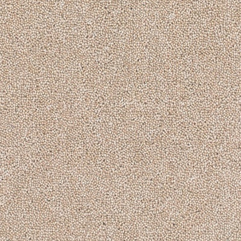 Norfolk & Co. Carpets Altitude Plains In Dark Tusk Carpet