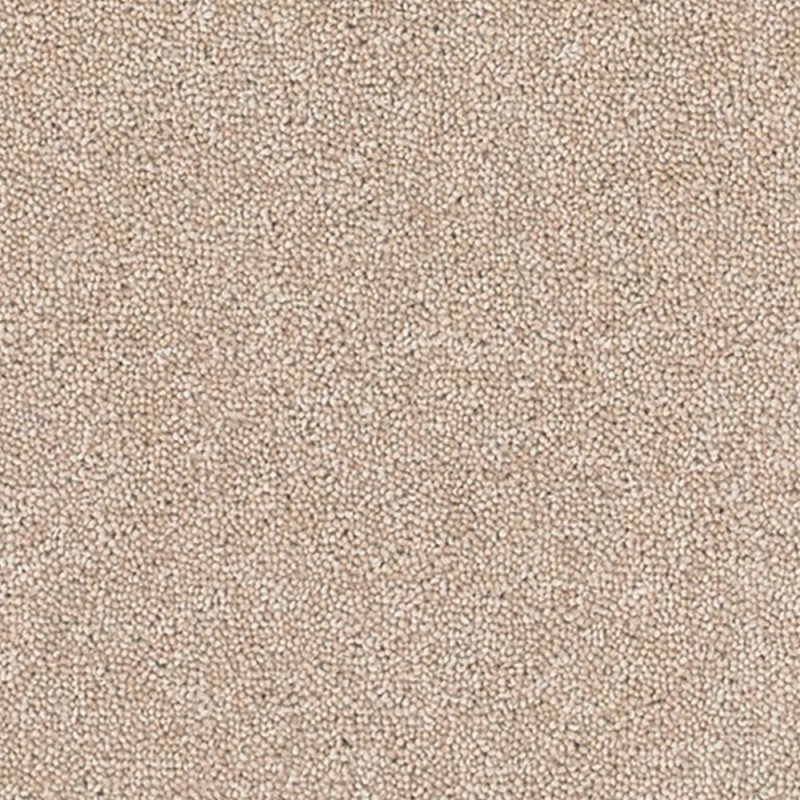 Norfolk Altitude Plains In Dark Tusk Carpet