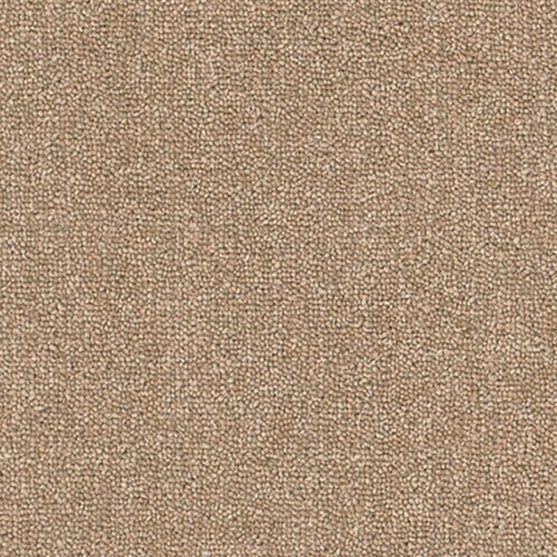 Norfolk & Co. Carpets Altitude Plains In Seedhead Carpet