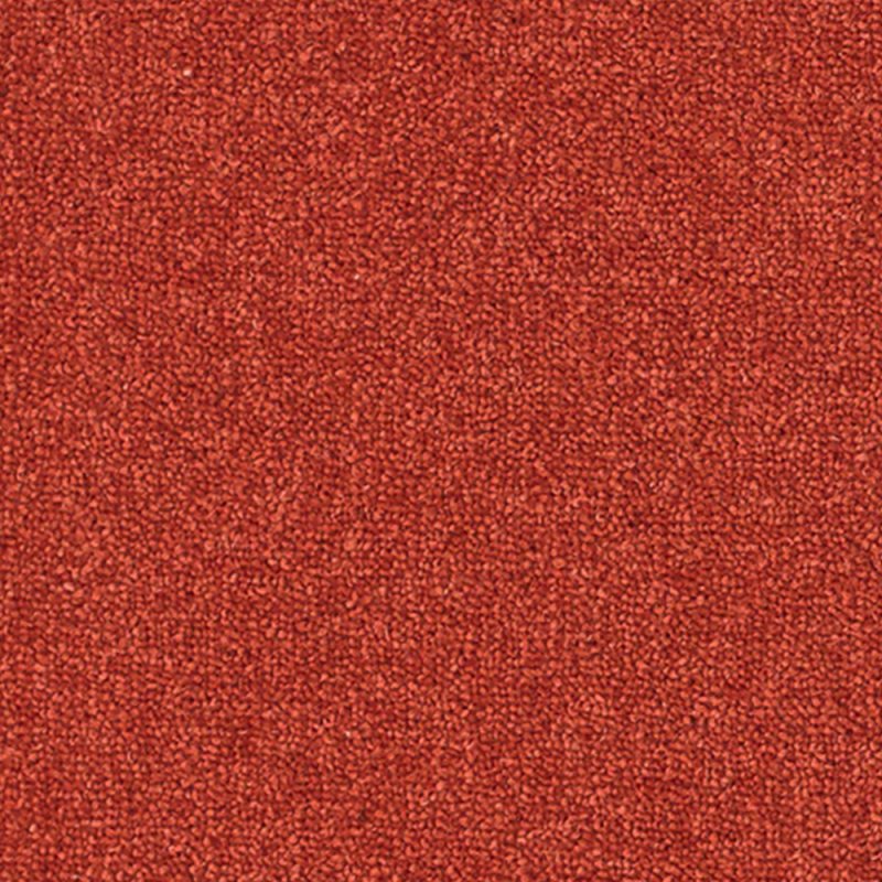 Norfolk & Co. Carpets Altitude Plains In Tomato Carpet