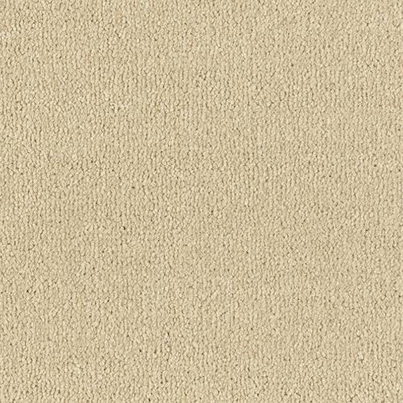 Abingdon Arena Plus In Cool Beige Carpet