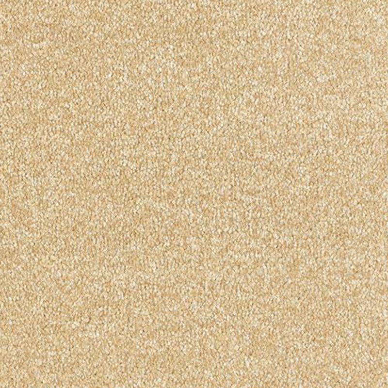 Abingdon Arena Plus In Corn Carpet