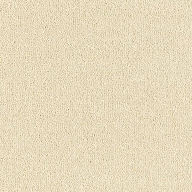 Abingdon Arena Plus In Devon Cream Carpet
