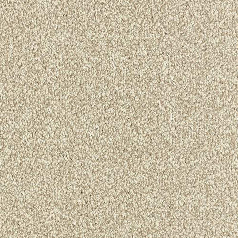 Abingdon Arena Plus In Stone Carpet