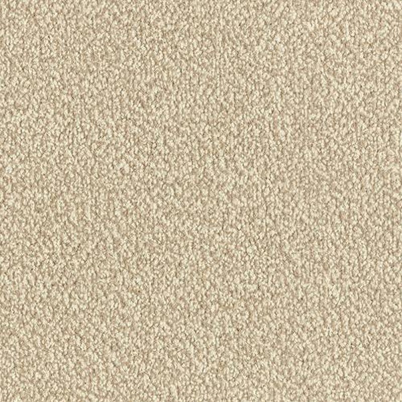 Abingdon Arena Plus In Taupe Carpet