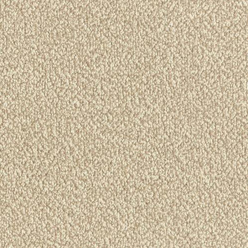 Abingdon Arena Plus In Taupe Carpet