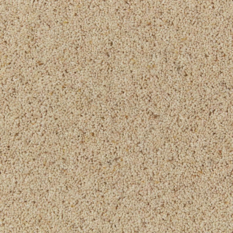 Norfolk Balderton In Coconut Carpet