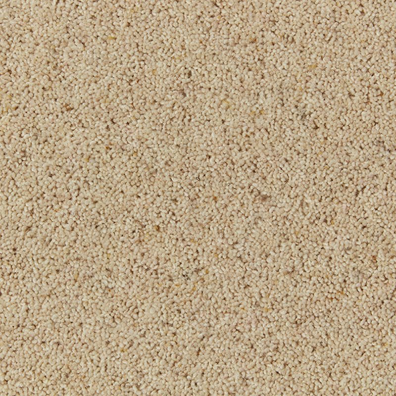 Norfolk & Co. Carpets Balderton In Coconut Carpet