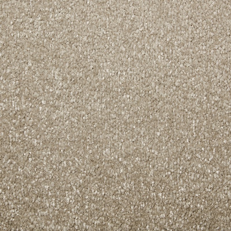 Norfolk & Co. Carpets Carefree In Coyote Carpet