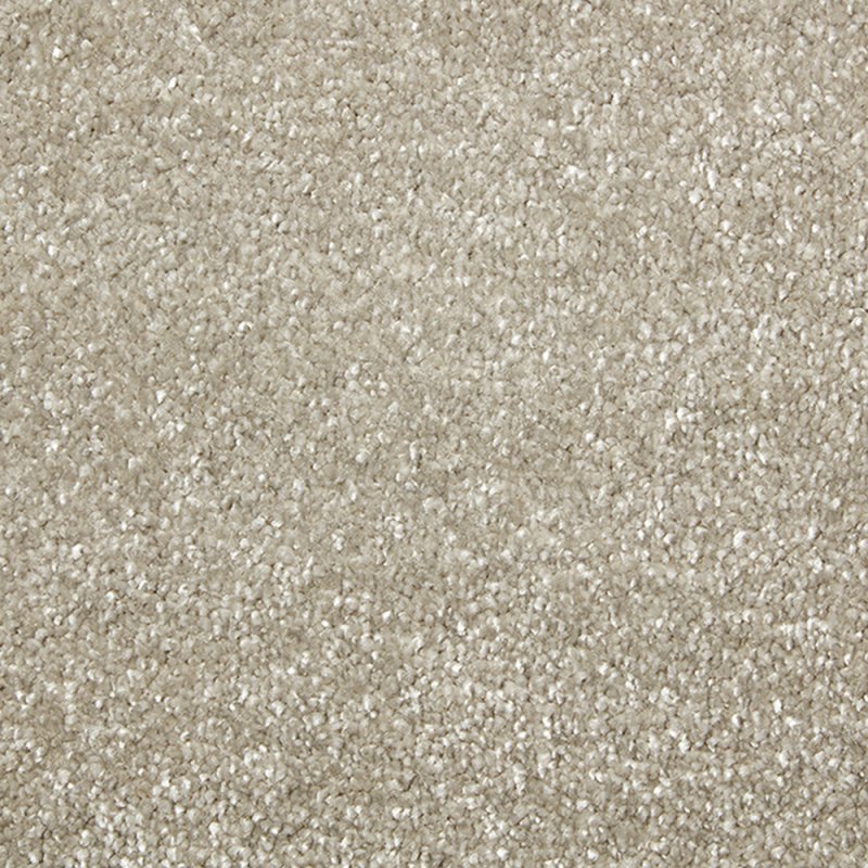 Norfolk & Co. Carpets Carefree In Snipe Carpet