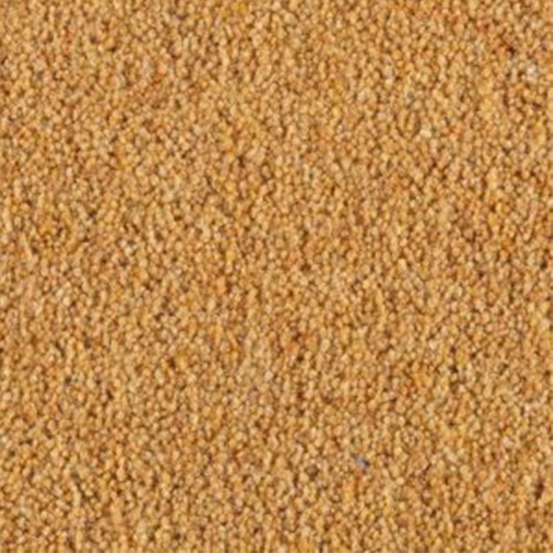 Penthouse Carlton Twist In Cornhusk Carpet