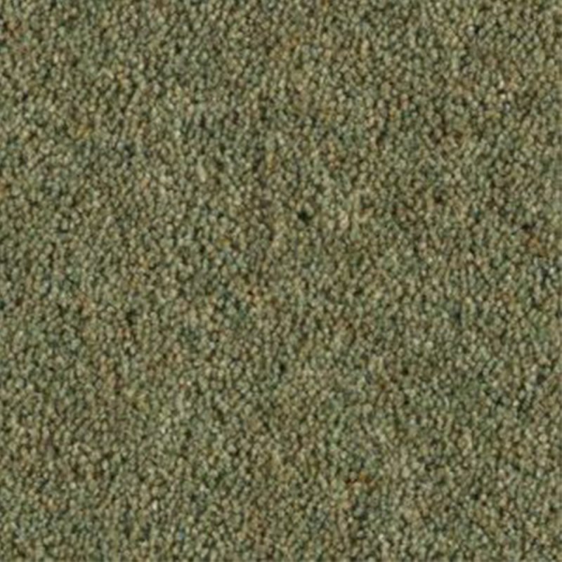 Penthouse Carlton Twist In Palm Leaf Carpet