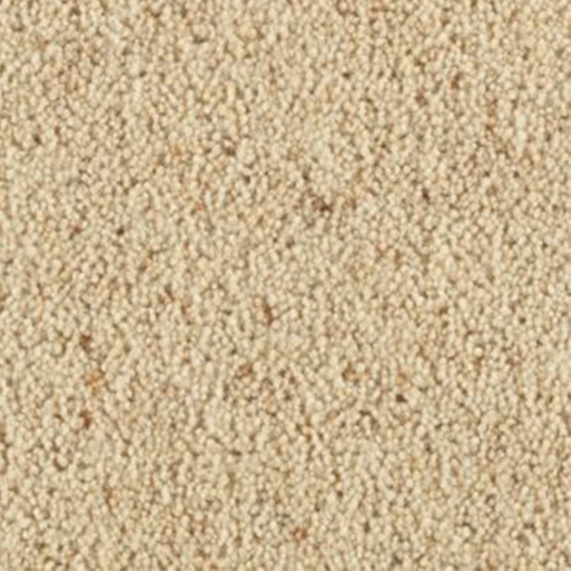 Penthouse Carlton Twist In Shortbread Carpet