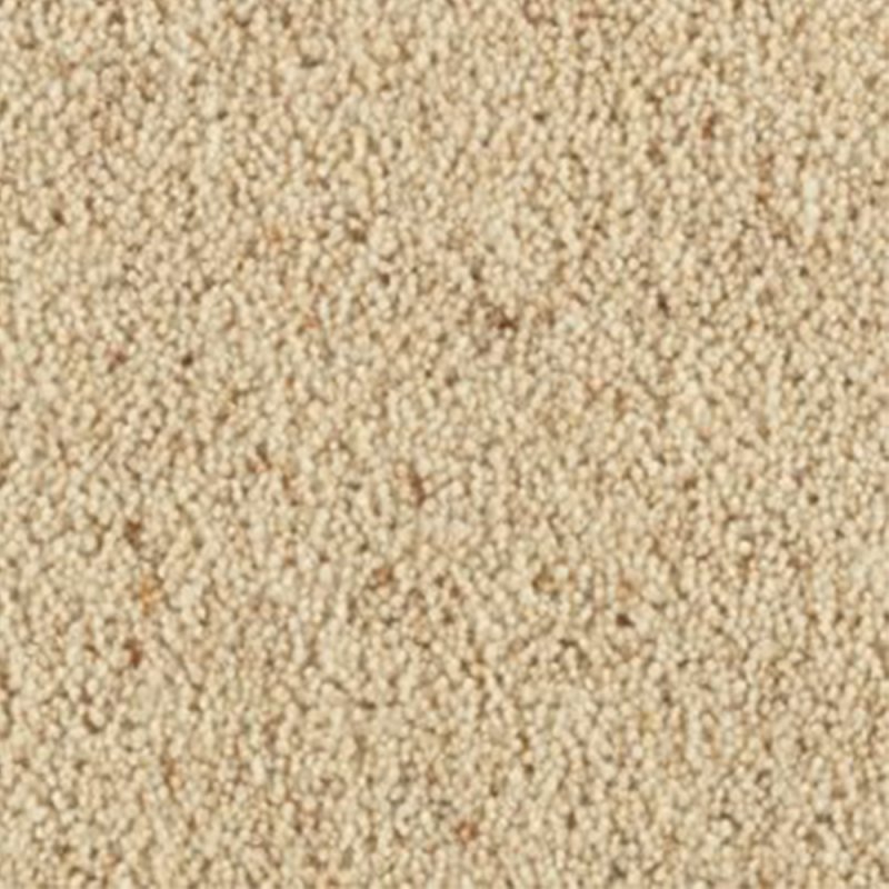 Penthouse Carlton Twist In Shortbread Carpet