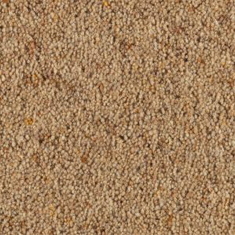 Penthouse Carlton Twist In Woodrush Carpet