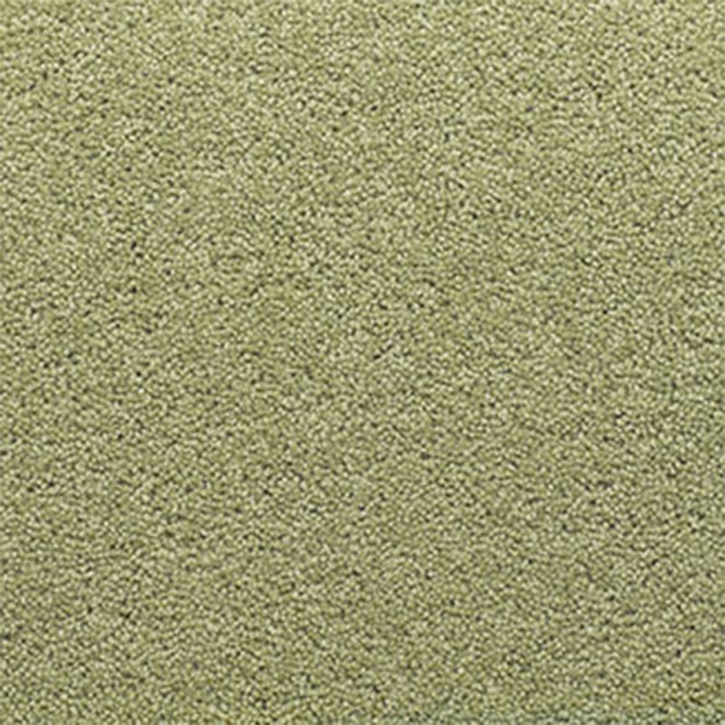 Adam Castlemead In Adam's Apple Carpet