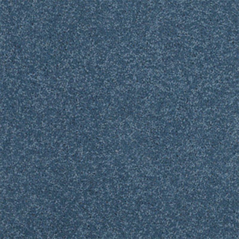 Adam Castlemead In Denim-Blue Carpet
