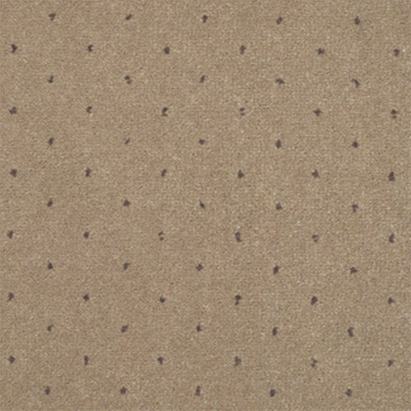 Adam Catherine In Morning Latte Pinpoint Carpet
