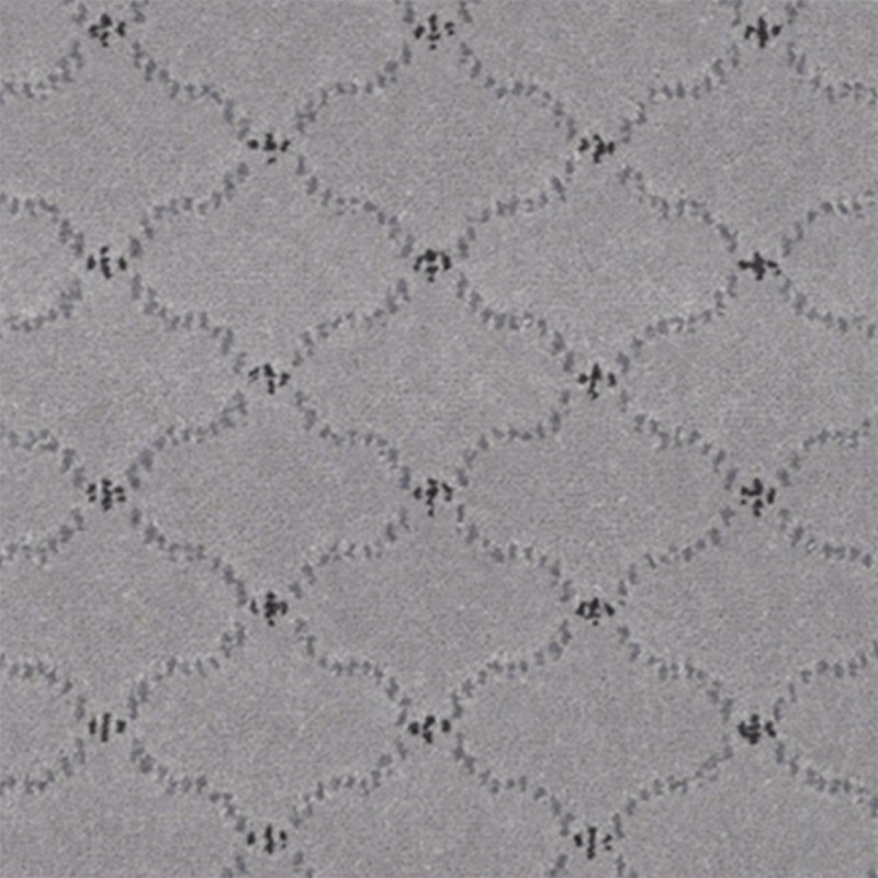 Adam Catherine In Pastel Grey Lace Carpet