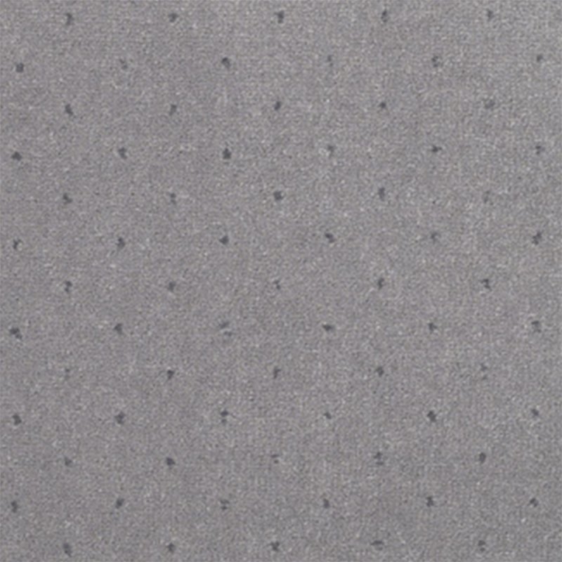 Adam Catherine In Pastel Grey Pinpoint Carpet