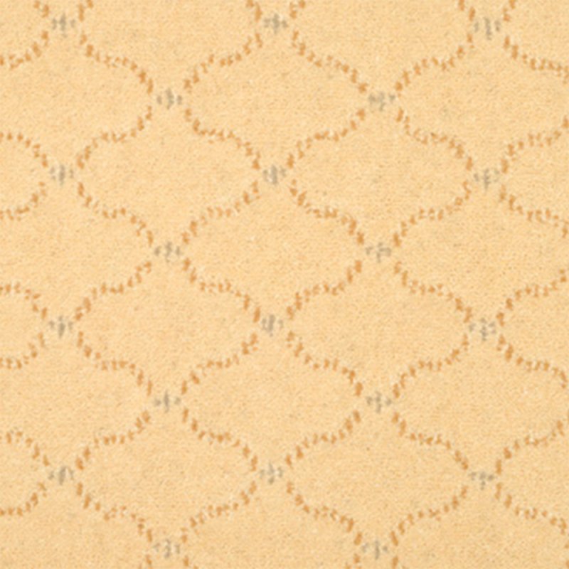 Adam Catherine In Soft Lemon Lace Carpet