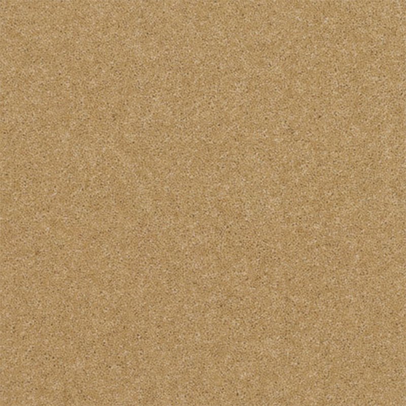 Norfolk & Co. Carpets Claxton In Chickpea Carpet