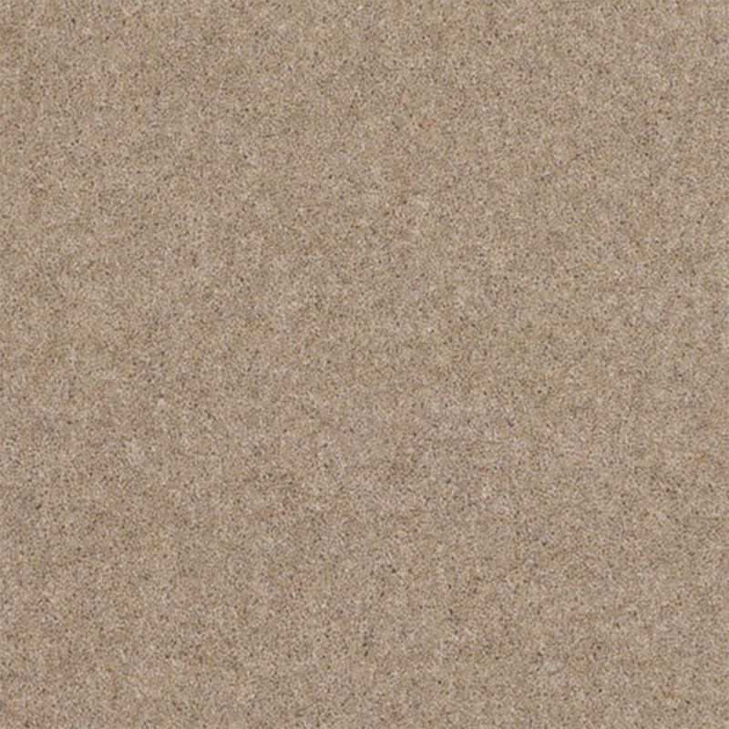 Norfolk & Co. Carpets Claxton In Fawn Carpet