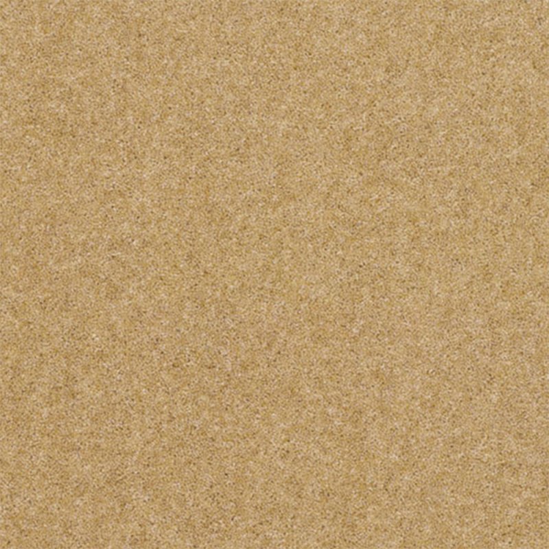 Norfolk Claxton In Granola Carpet