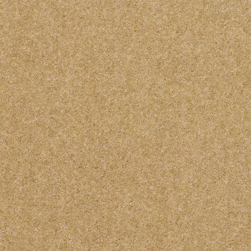 Norfolk & Co. Carpets Claxton In Granola Carpet
