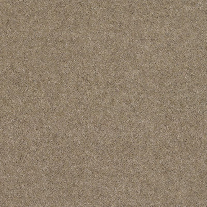 Norfolk Claxton In Pebble Carpet