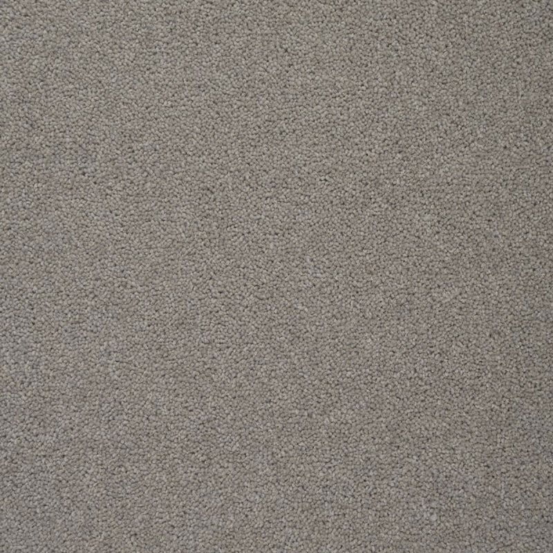 Penthouse Colorado In Burlington Carpet