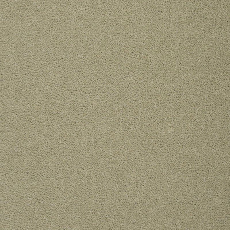 Penthouse Colorado In Mountain View Carpet