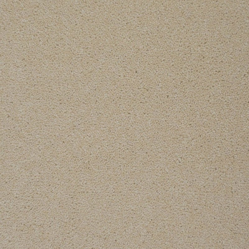 Penthouse Colorado In Palisade Carpet