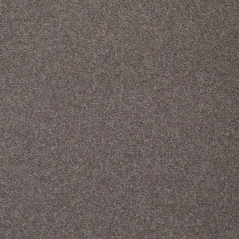 Penthouse Colorado In Rockvale Carpet