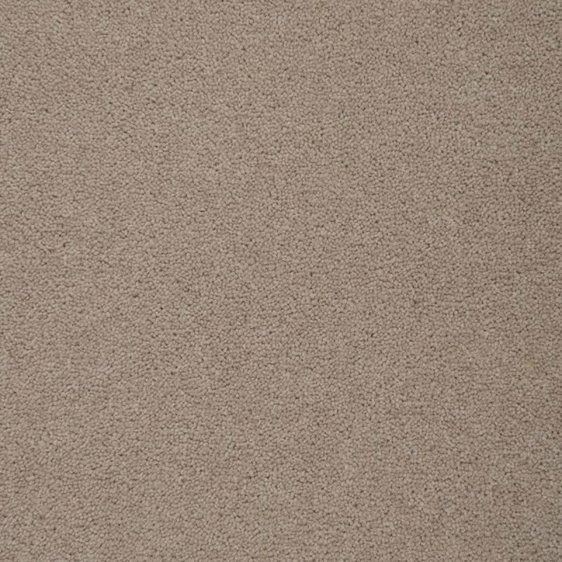 Penthouse Colorado In Springfield Carpet