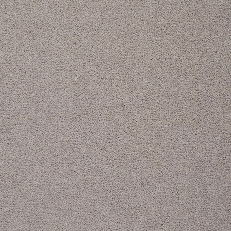 Penthouse Colorado In Westcliffe Carpet