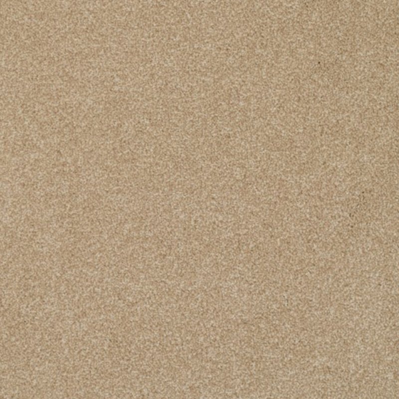 Norfolk & Co. Carpets Day Dreams In Charming Carpet