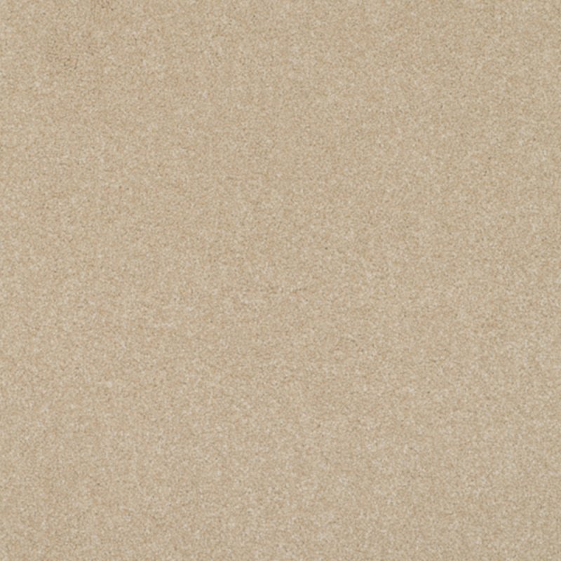 Norfolk & Co. Carpets Day Dreams In Clean Cut Carpet
