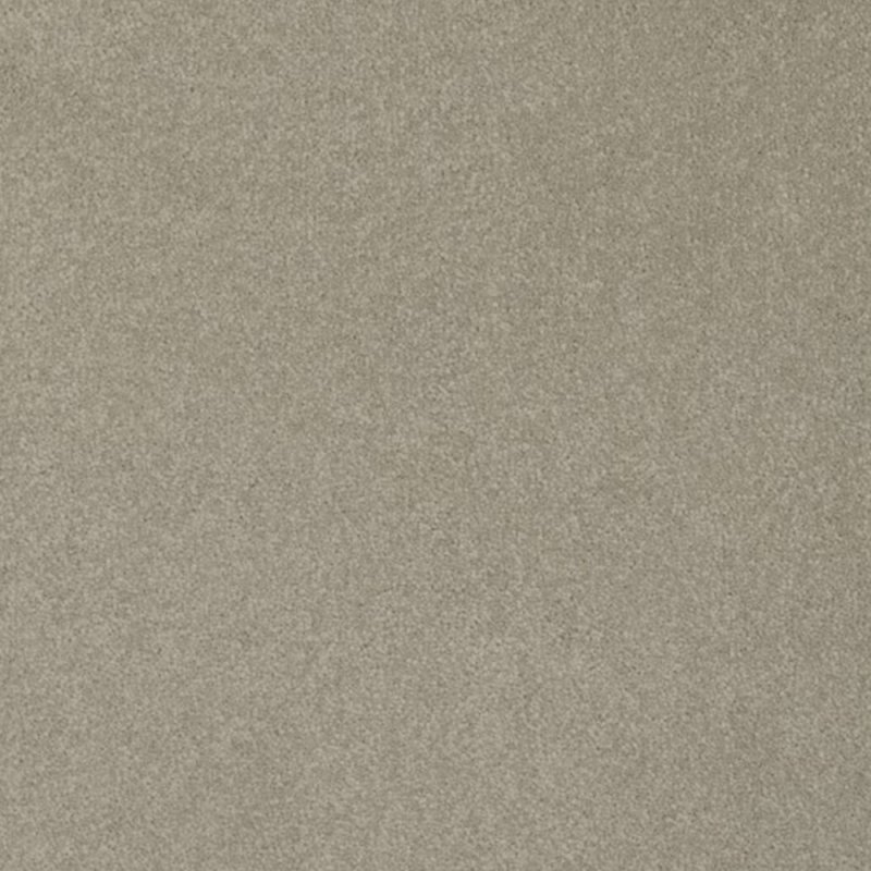 Norfolk & Co. Carpets Day Dreams In Close Shave Carpet