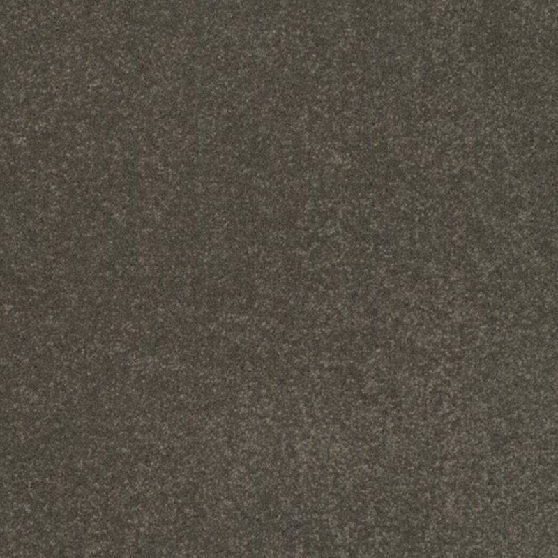 Norfolk & Co. Carpets Day Dreams In Confident Carpet
