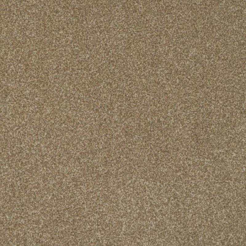 Norfolk & Co. Carpets Day Dreams In Fresh Carpet
