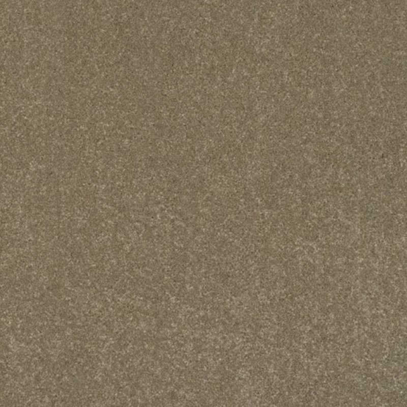 Norfolk & Co. Carpets Day Dreams In Neat N Tidy Carpet