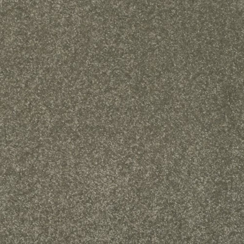 Norfolk & Co. Carpets Day Dreams In Quality Carpet