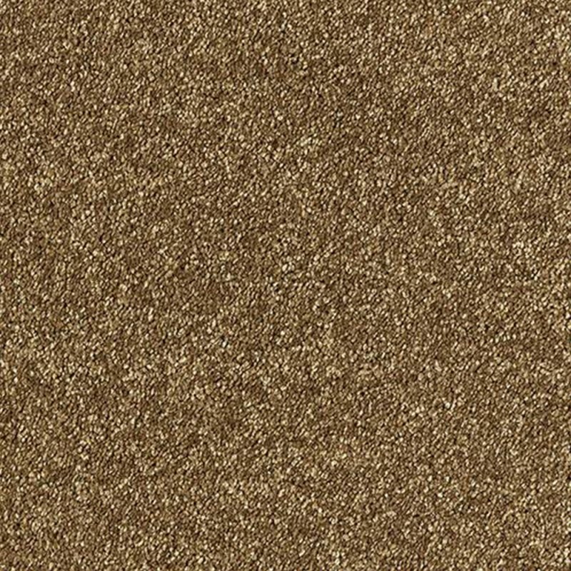 Abingdon Deep Feelings In Rich Caramel Carpet