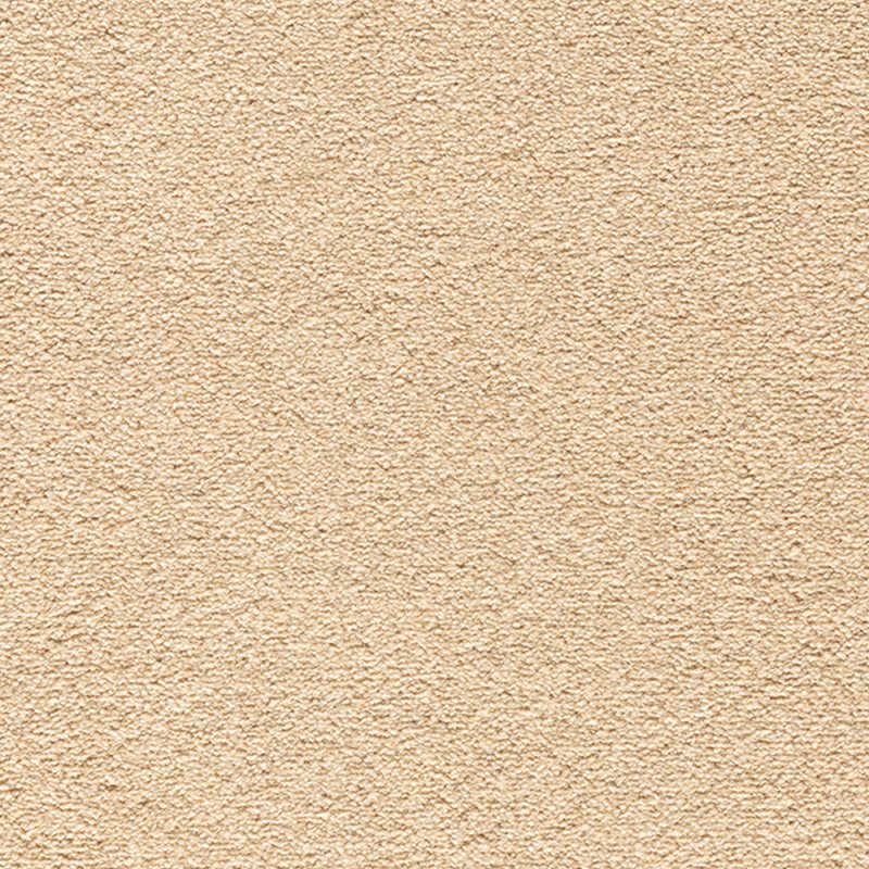 Norfolk & Co. Carpets Endura In 640 Amaranta Carpet